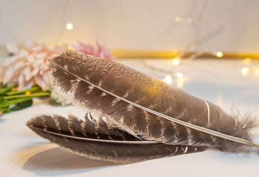 Feathers for Smudging