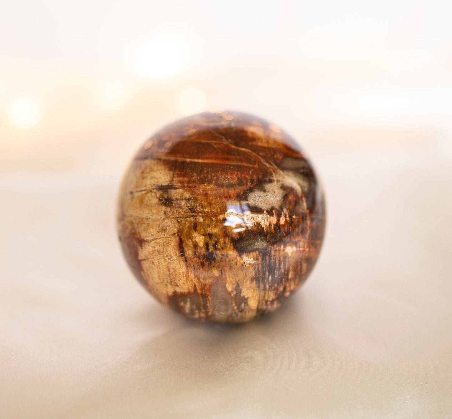 Petrified Wood Sphere