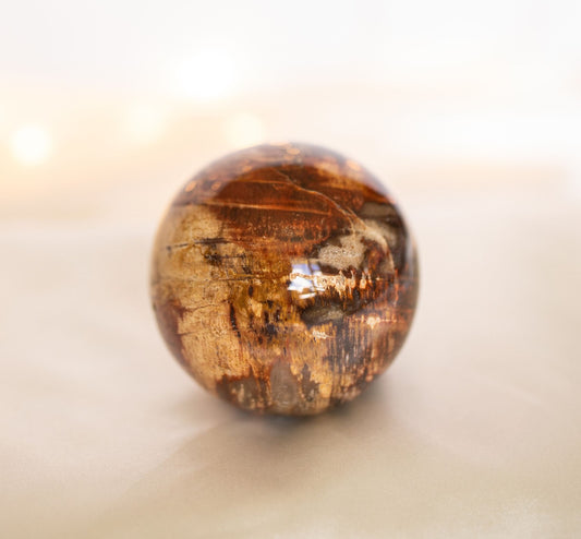 Petrified Wood Sphere