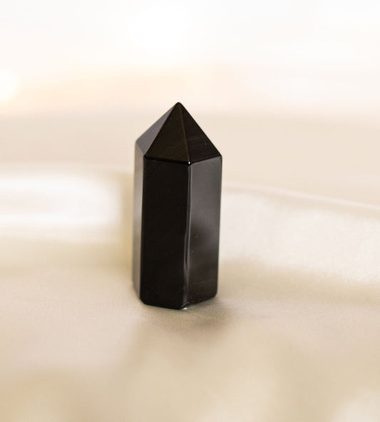 Shungite Point