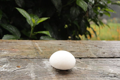 Konjac Sponges