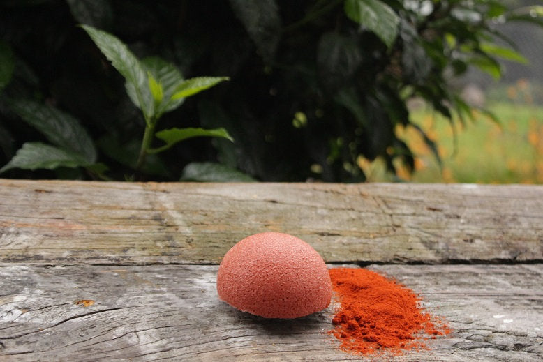 Konjac Sponges